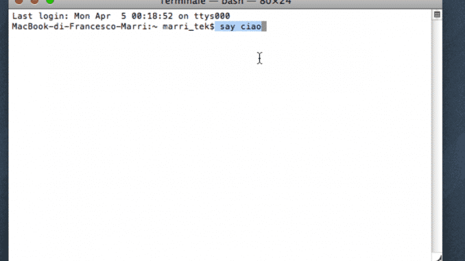 in questa immagina è presente uno screenshot del terminale di Mac
