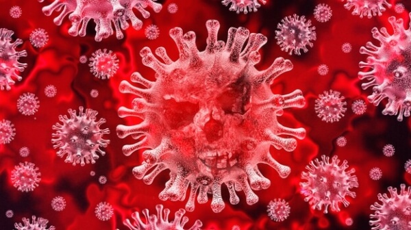 un'immagine del coronavirus